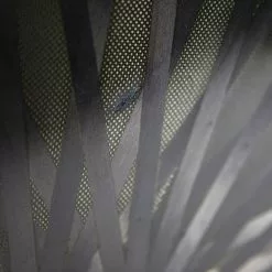 Lightweight Autobahn Tubular Rear Disc Wheel - Rim Brake -Bremser & dele Salg 8T1A9346