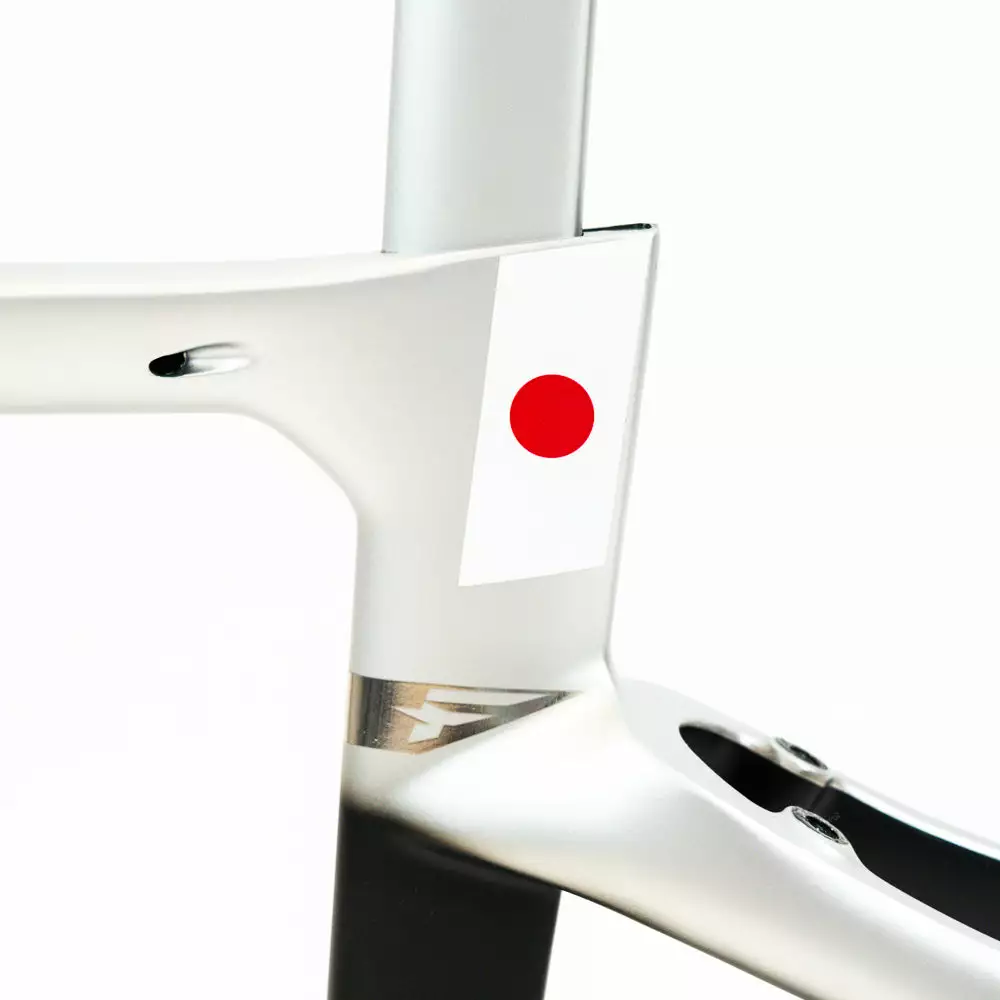 Pinarello Dogma F - 2020 Olympics Edition - Road Frameset - Richard Carapaz/Ecuador 4 Pinarello Dogma F - 2020 Olympics Edition - Road Frameset - Richard Carapaz/Ecuador - Billede 4