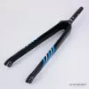 De Rosa Protos Carbon Spare Fork