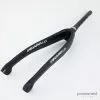 Pinarello F10 Spare Fork